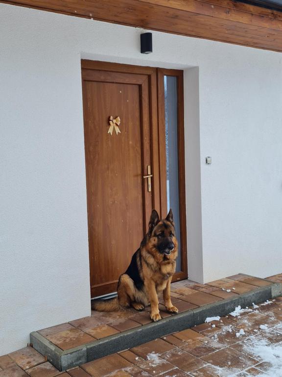 Domácí mazlíčci ubytovaní s hosty v ubytování Apartmány Bystrá-Chopok