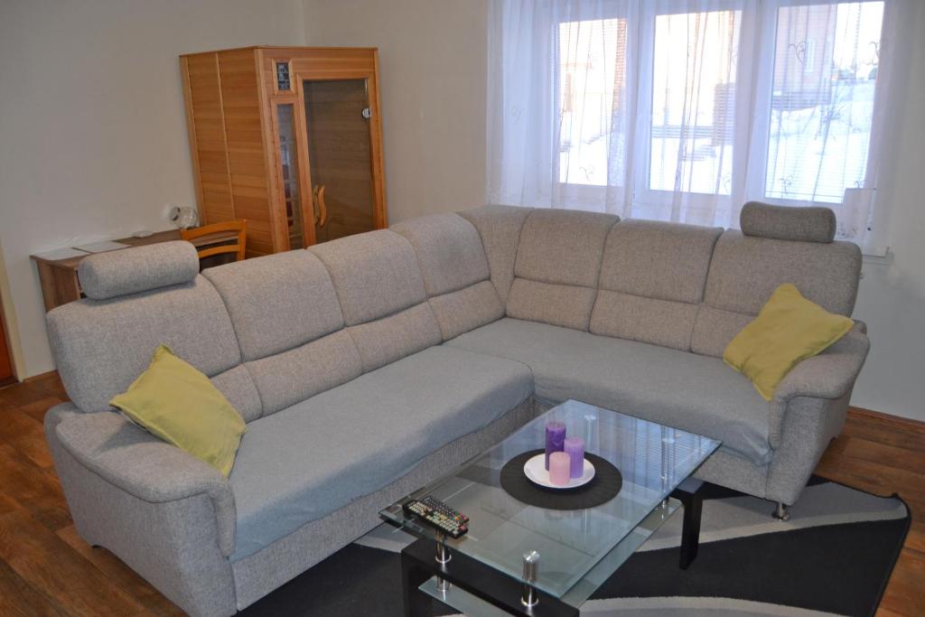 Fotografie z fotogalerie ubytování Apartmán Pod Říčkami v Rokytnici v Orlických Horách