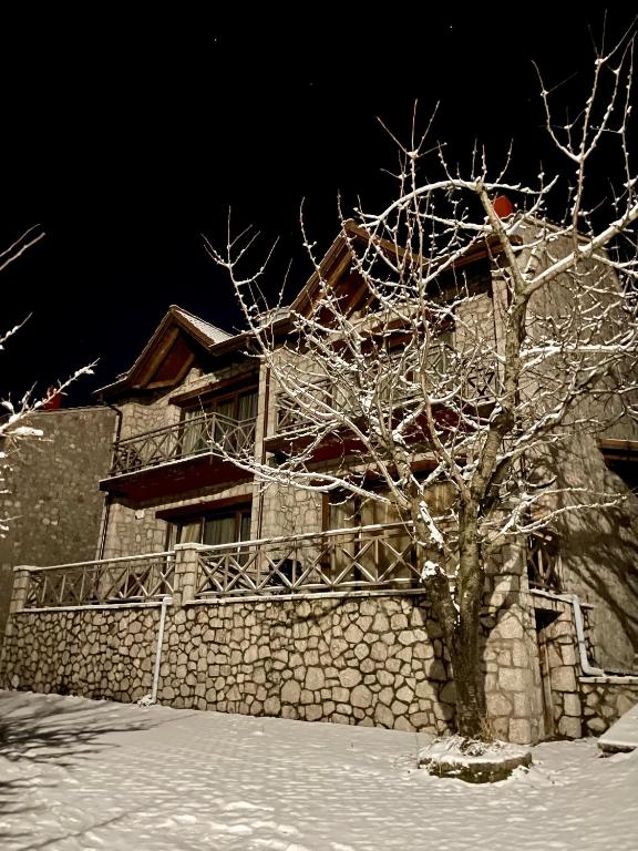a tree in the snow in front of a building at Petradi Residence @ Agoriani-Parnassus in Eptalofos