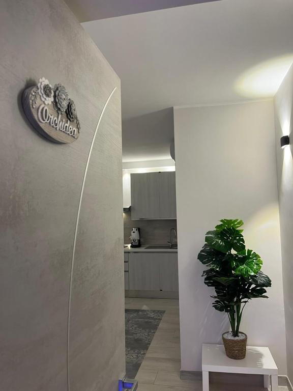 Affittacamere La Magnolia - Apartamento Con Vista Al Mar