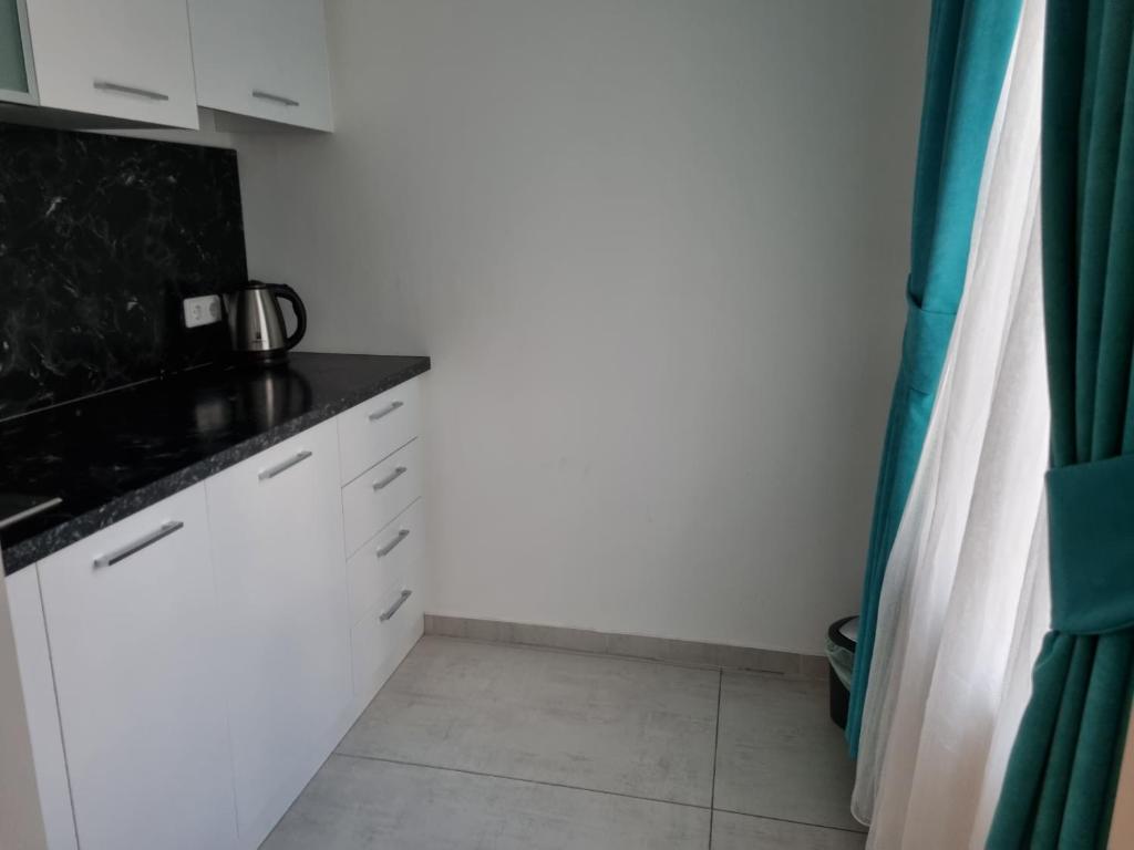 Kuchyň nebo kuchyňský kout v ubytování A&F Hotel Chemnitz