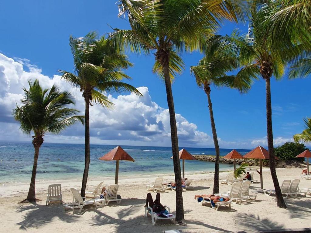 een groep mensen op een strand met palmbomen bij Martial Tropiques et Martial Coco & Plage, 2 Appartements refaits à neuf vue mer, Village de vacances à Ste Anne in Sainte-Anne