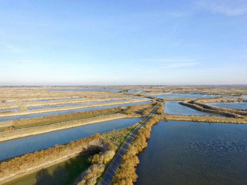 an aerial view of a large field with water channels at Ma Chambre d'Amis in Saint-Clément-des-Baleines