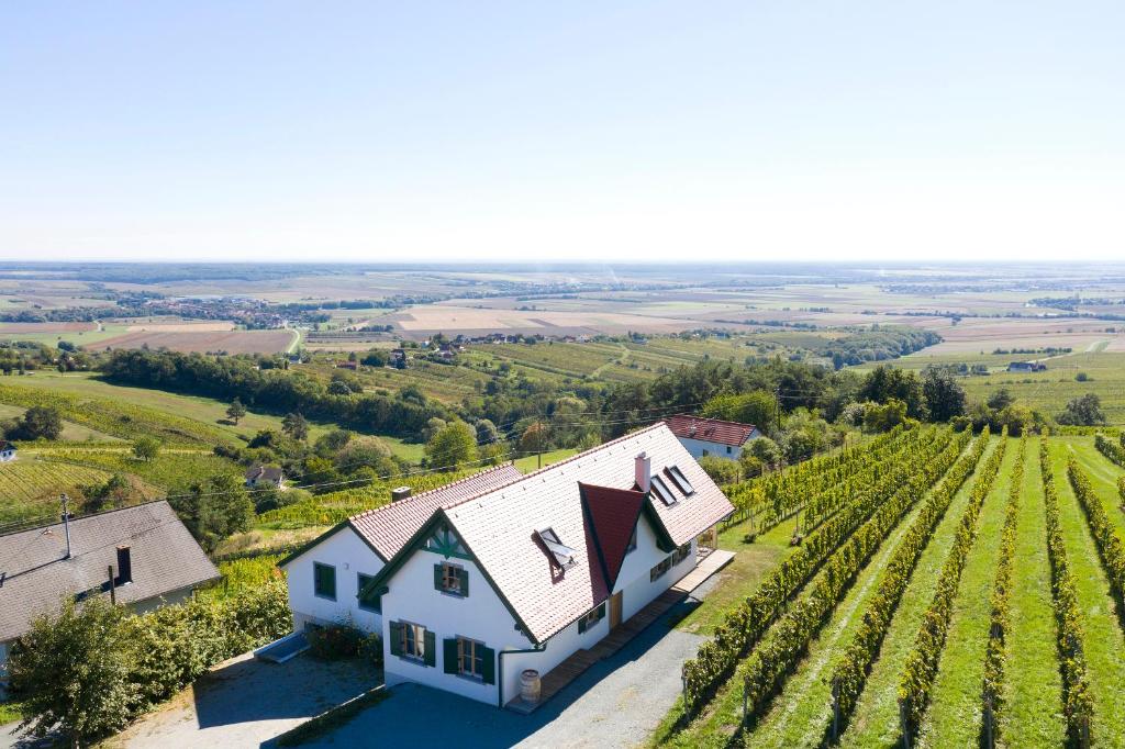 een luchtzicht op een huis en een wijngaard bij Kellerstöckl Weinblick I und II in Eisenberg an der Pinka