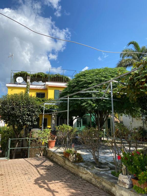 una casa con muchas plantas delante de ella en CASA MIMOSA: relax, vista mare, parcheggio gratis, en San Remo
