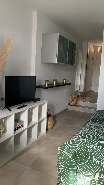 TV a/nebo společenská místnost v ubytování Estudio Miraverde, Adeje