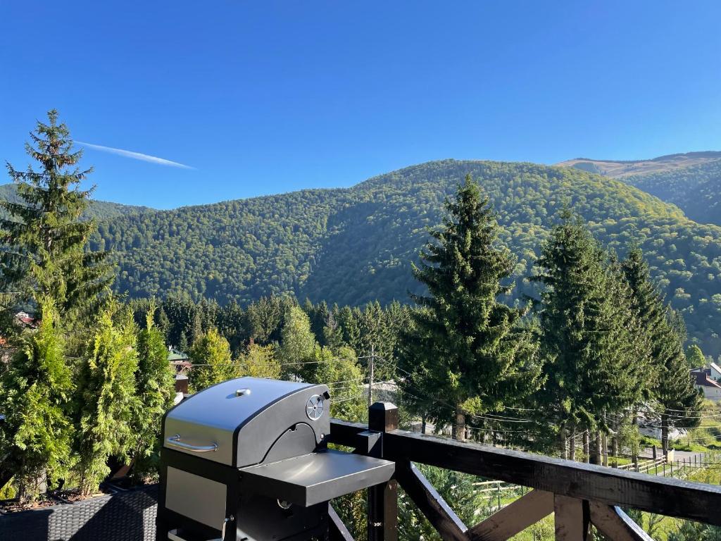 a grill on a fence with mountains in the background at The Nest in Sinaia