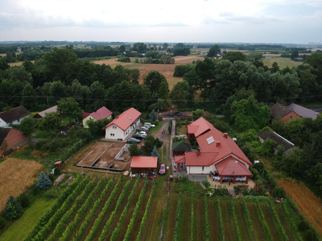 MłodochówにあるAgroturystyka ROGALAの赤い屋根の家屋