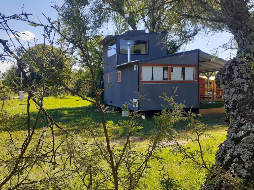 een klein huisje in een veld met een boom bij Las Martinetas in Santa Rosa de Calamuchita