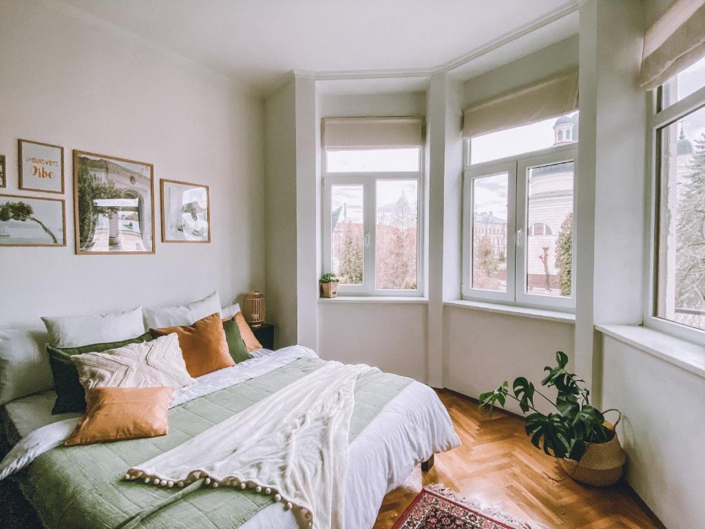 een slaapkamer met een bed en 2 ramen bij simsimdoba in Tsjernivsi