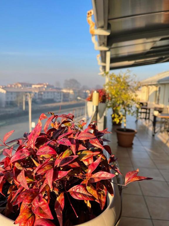 Balkón nebo terasa v ubytování Gosterisli Otel