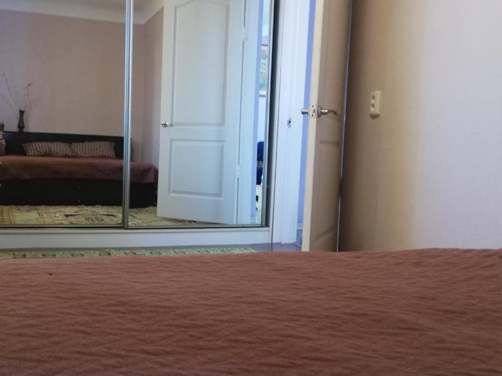 1 dormitorio con espejo y 1 cama en una habitación en Apartments on Shmidta Street ( Ozerka), en Dnipro