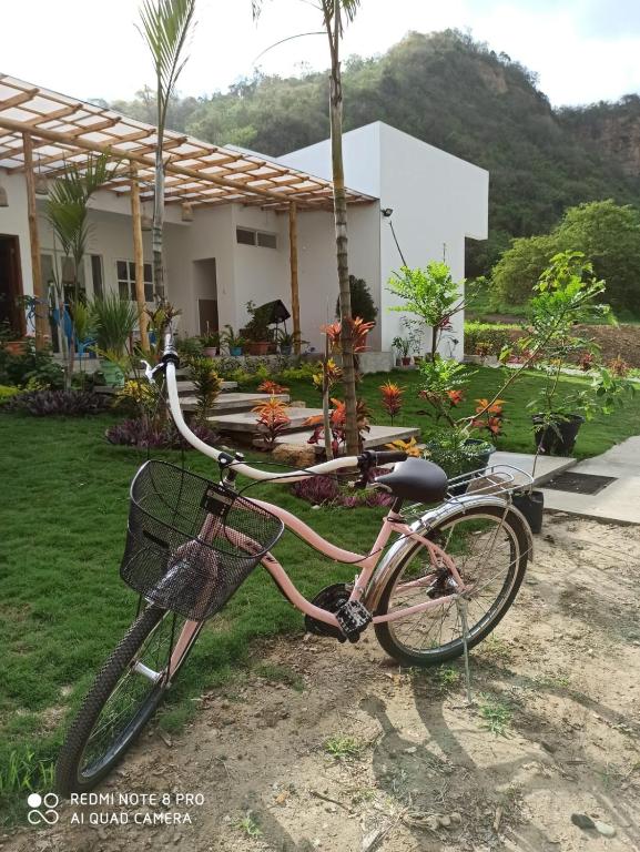 Jízda na kole v ubytování EL JARDIN OLON SUITES nebo okolí