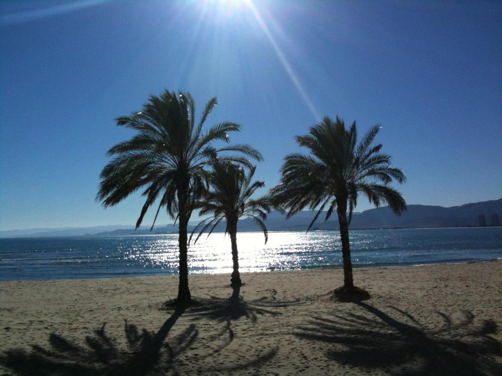 three palm trees on a beach with the sun in the background at Hotel L'Escala in Cullera