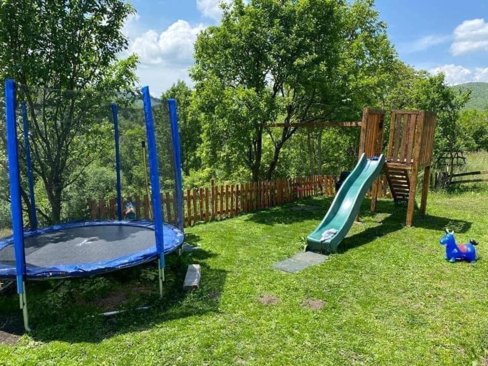 a playground with a slide in the grass at Green Yard Doftana in Teşila