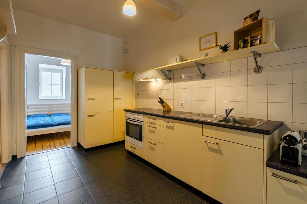 Kuchyň nebo kuchyňský kout v ubytování Eigene Wohnung im Stadtzentrum mit wunderschöner Dachterrasse