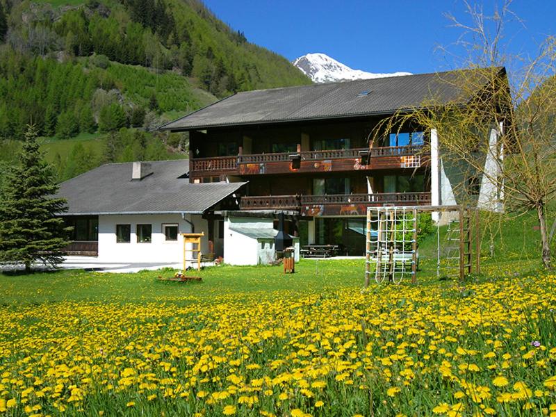 a house in a field of flowers in front of a house at Residence Schnals in Senales