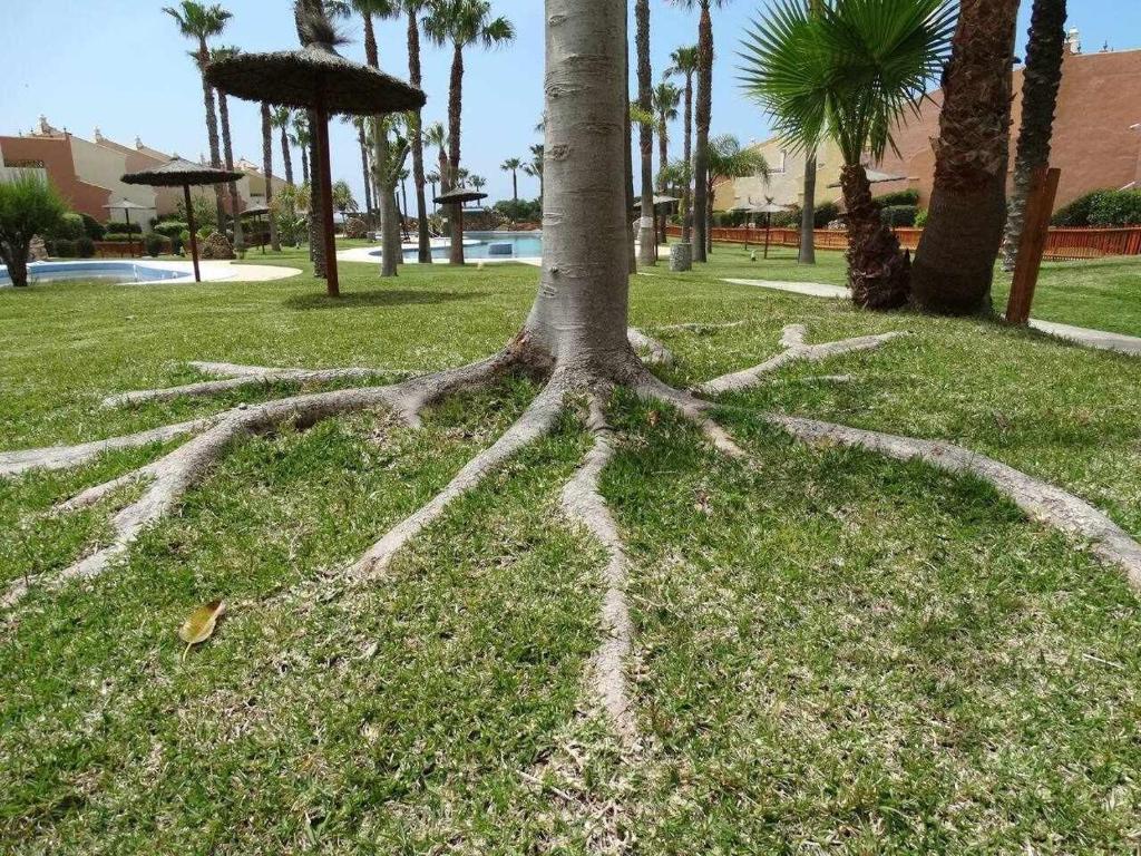 Vonkajšia záhrada v ubytovaní Apartamento en Jardines de Zahara F4A