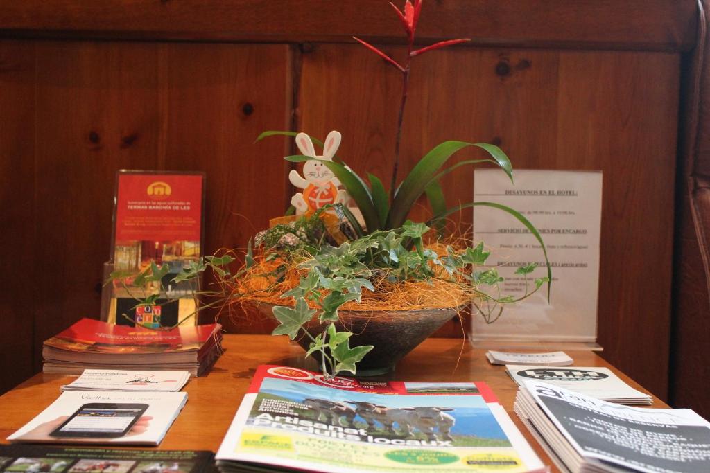 Fotografie z fotogalerie ubytování Hotel La Bonaigua v destinaci Vielha