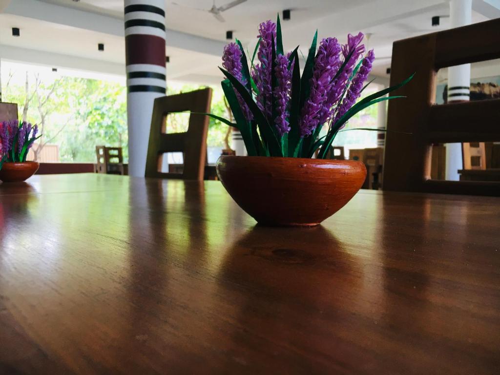 Fotografie z fotogalerie ubytování AliKele Hotel & Resort v destinaci Sigiriya