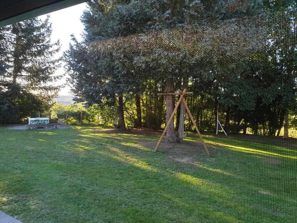 un parque con un árbol y un banco en el césped en Loue joli T2,neuf, de 50m2, dans un cadre paisible en Saint-Gervais-dʼAuvergne