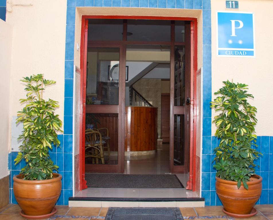 dos macetas sentadas frente a una puerta en Pensión La Palma, en El Puerto de Santa María