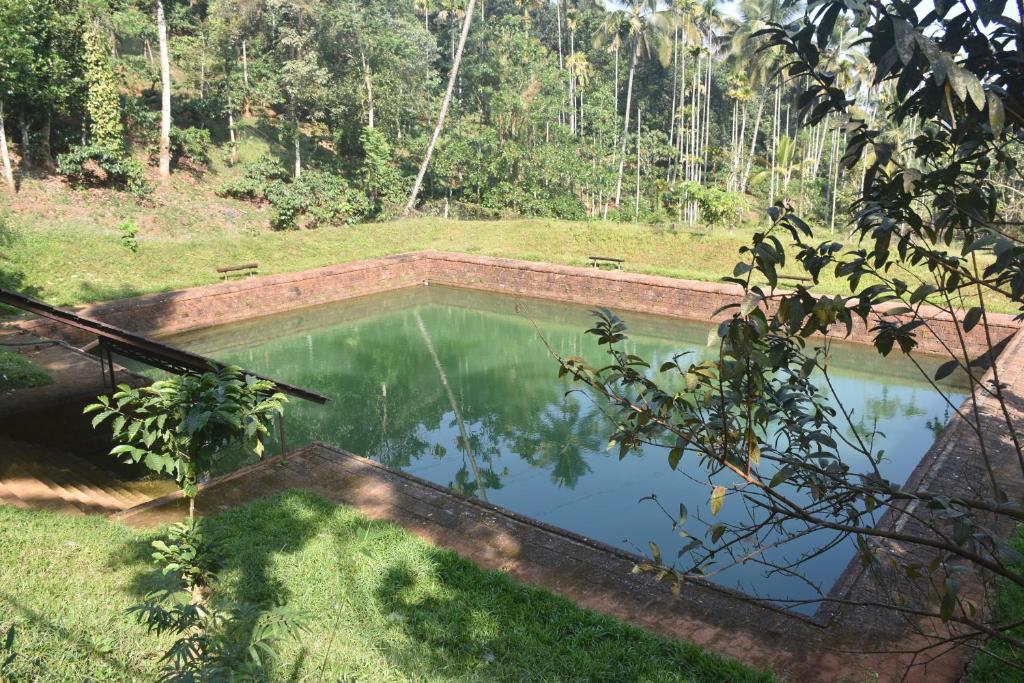 Bazén v ubytování Jeevess Retreat Wayanad nebo v jeho okolí