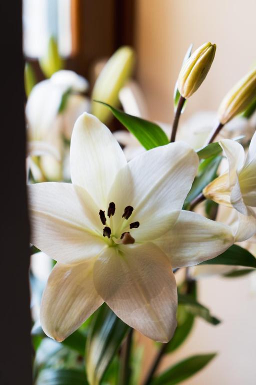 Hostal Pension Artilleiro - 3