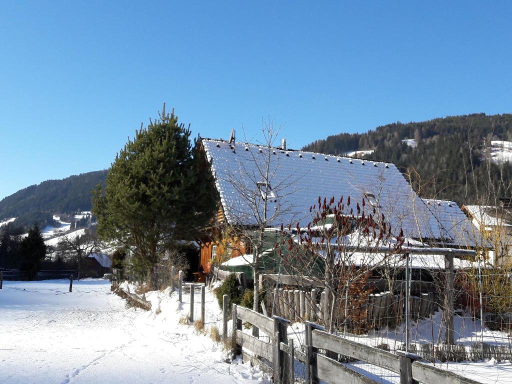 Chalet in Styria with infrared sauna v zime