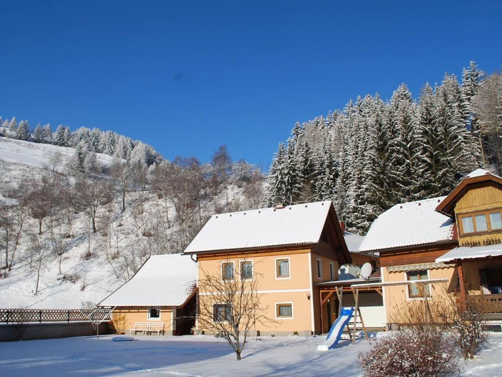 Apartment in Rennweg near Katschberg Ski Area during the winter