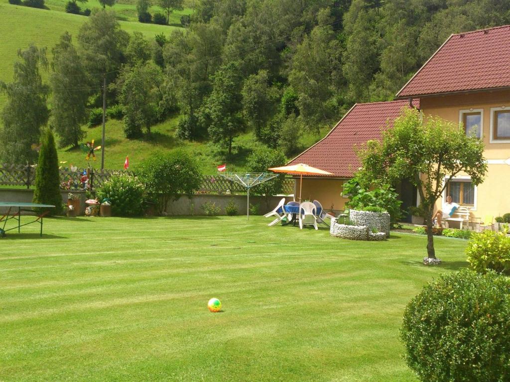 un patio con una pelota de fútbol en la hierba en Modern holiday apartment in Rennweg am Katschberg, en Rennweg