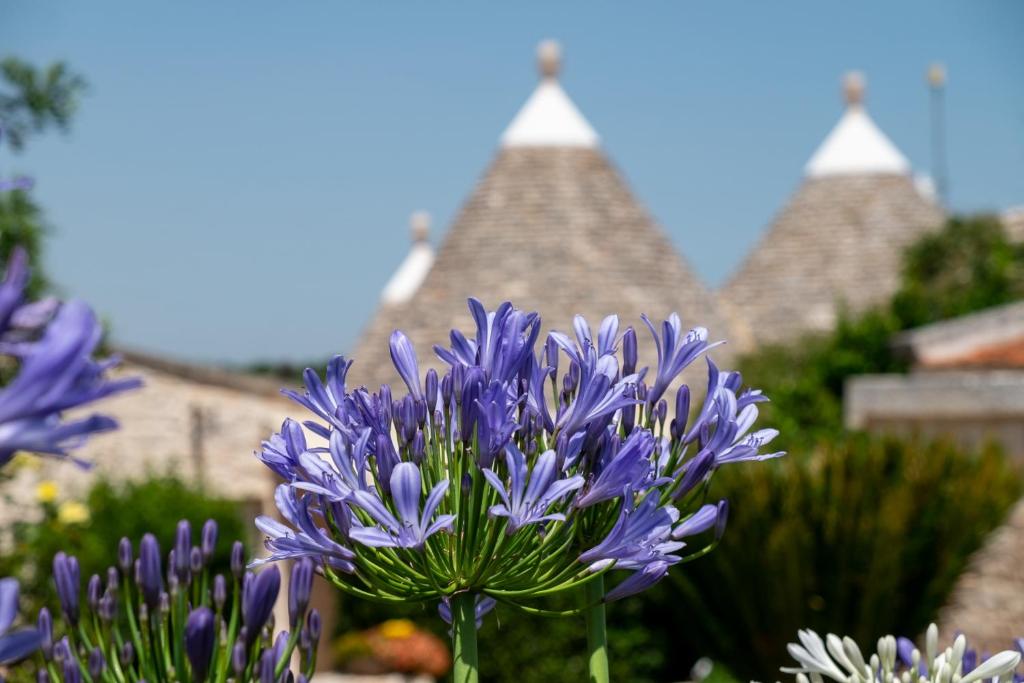 a purple flower in front of a castle at Trulli Oasi Fiorita - Exclusive Apulian Holidays in Castellana Grotte