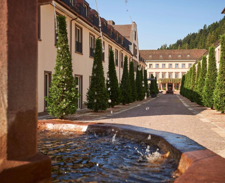 Bazén v ubytování Hotel Therme Bad Teinach nebo v jeho okolí
