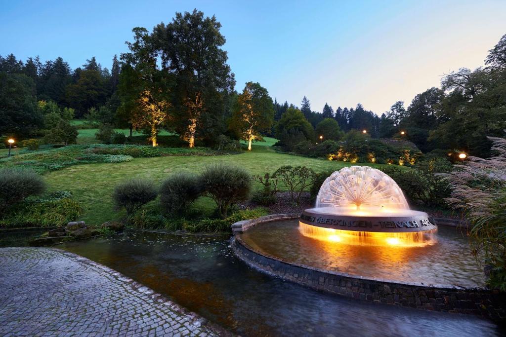 Zahrada ubytování Hotel Therme Bad Teinach