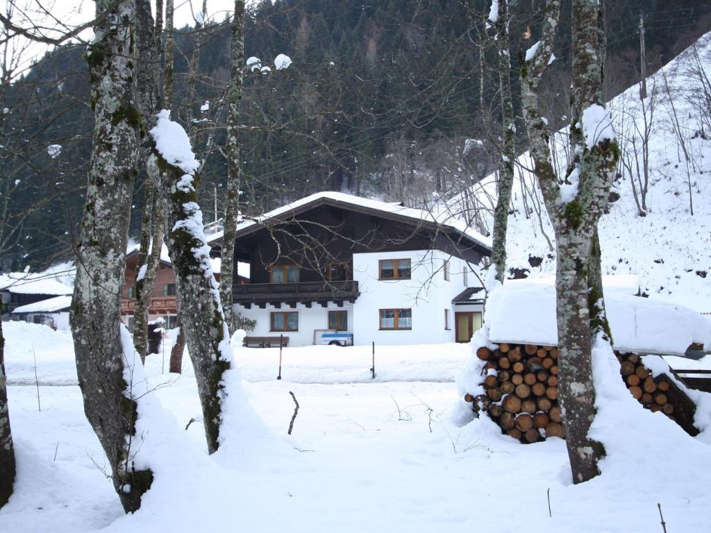 Apartment in Dienten near Ski Lift v zimě