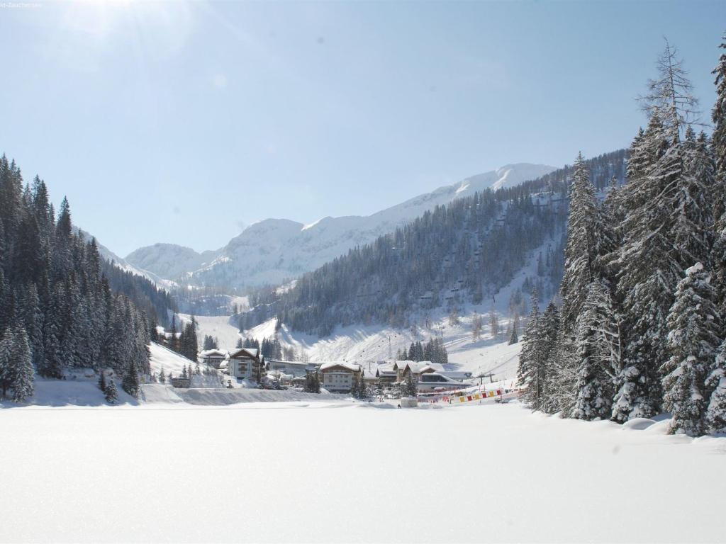 Apartment near the ski area in the Salzburg region v zime