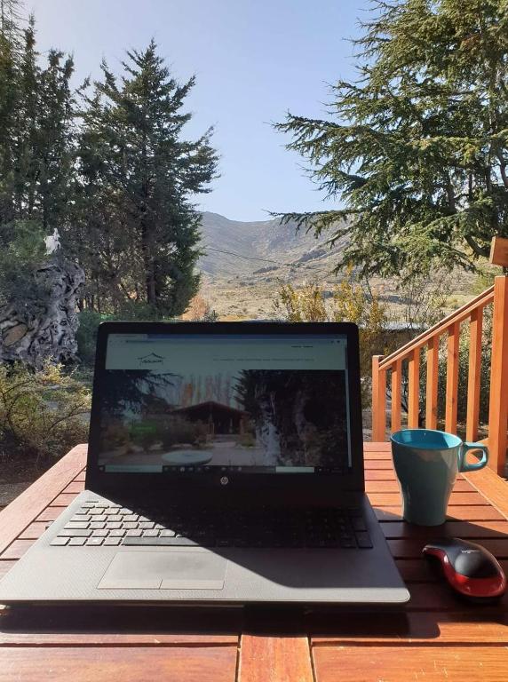 Apartamentos Turísticos Matagacha - 17