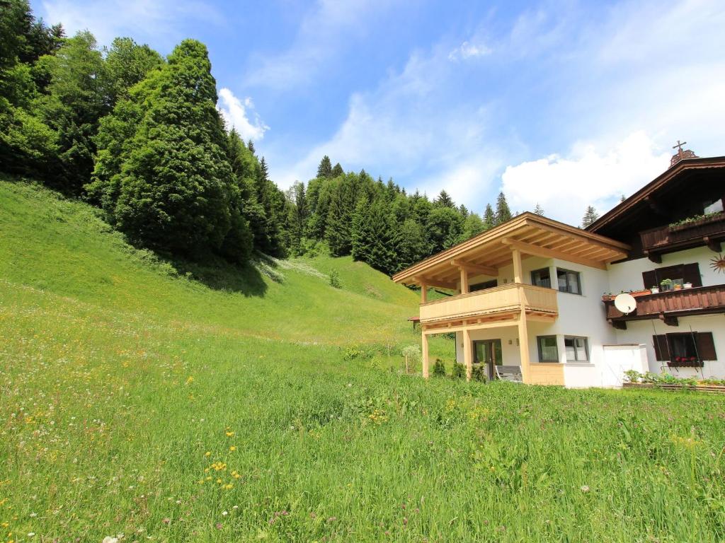 una casa sul fianco di una collina erbosa di Nice Apartment in Kirchberg in Tyrol with Mountain View a Kirchberg in Tirol