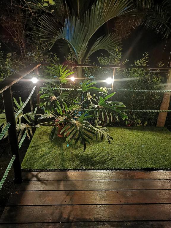 Zahrada ubytování Momotus Glamping