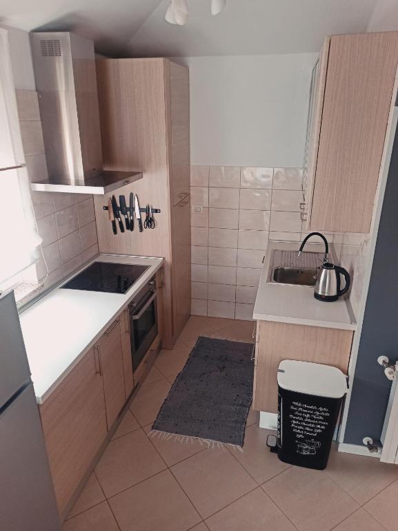 Kuchyň nebo kuchyňský kout v ubytování Apartment Gaia