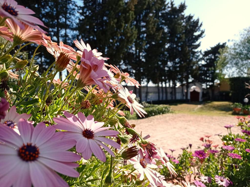 Ogród w obiekcie Gli Archi Country Home