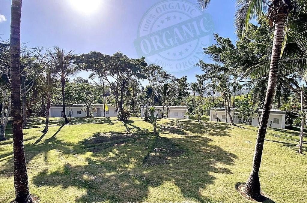 a park with palm trees and a sign that reads organic at Serafina Organic Farm® in Jamao al Norte