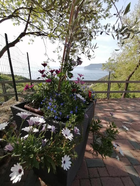 a pot of flowers sitting on a patio at Oroverde in Bergeggi