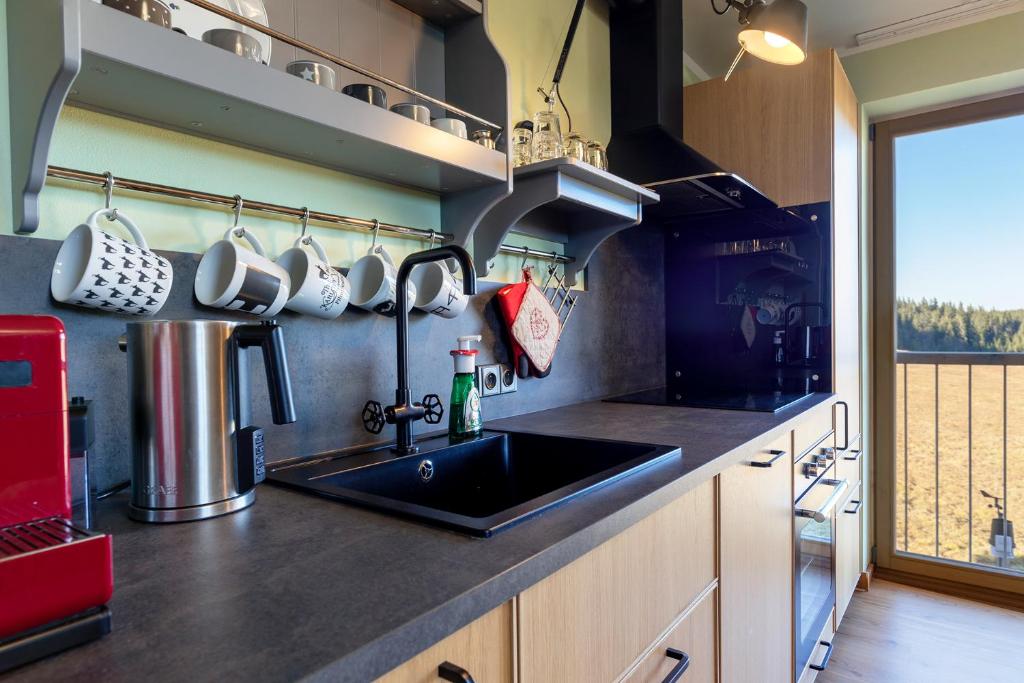 Kuchyň nebo kuchyňský kout v ubytování Kvilda Kilián apartmán Javor