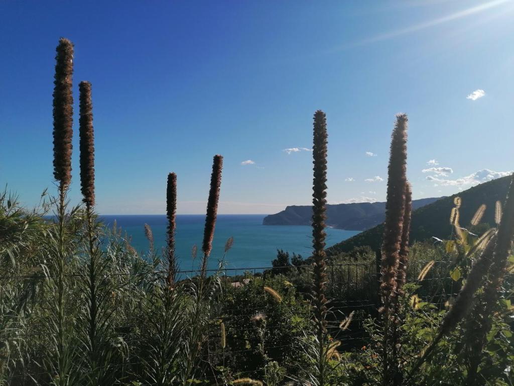 a view of the ocean from a hill with tall plants at Oroverde in Bergeggi