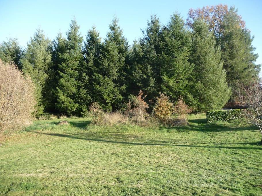 a grassy field with trees in the background at Gîte des Forces - Limousin - Haute Vienne in Saint-Bazile