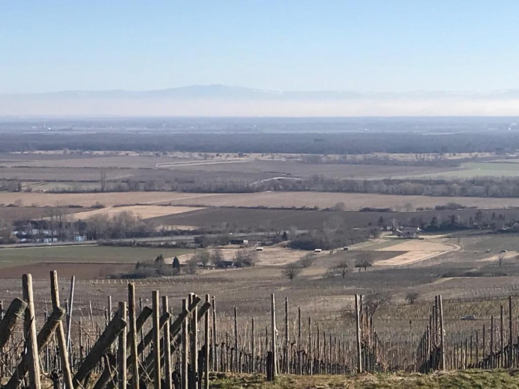 TheGuthPlace – photo 30