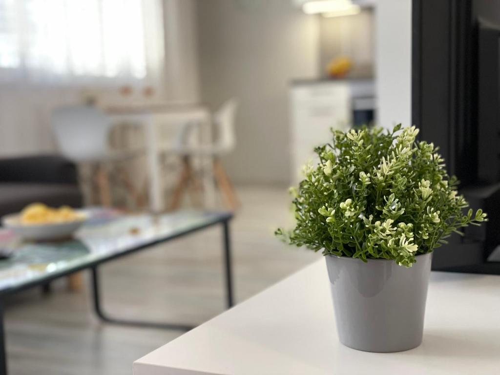 Et opholdsområde på Stein