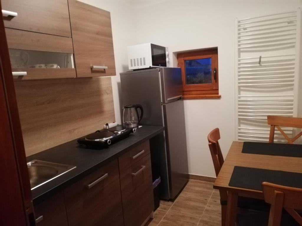 Kuchyň nebo kuchyňský kout v ubytování Apartmán Anička