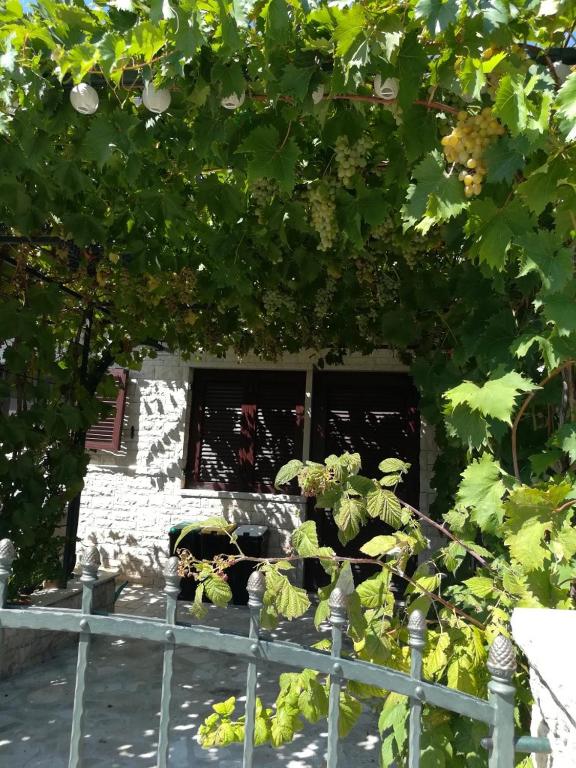 Vonkajšia záhrada v ubytovaní SUMMER TIME